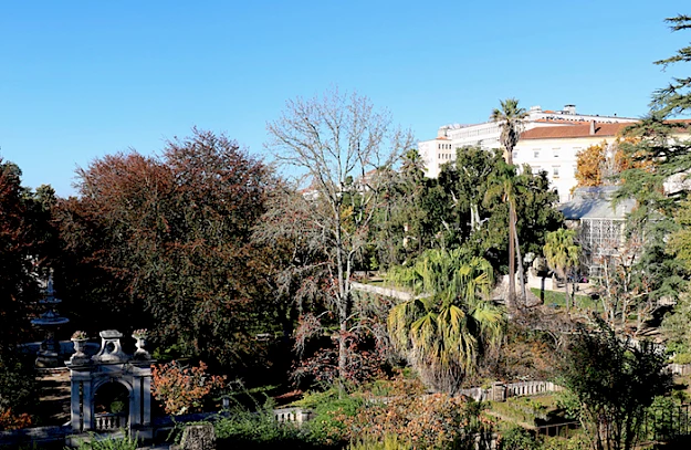 Fig. 2 -  Fotografia atual do Quadrado Central do Jardim Botânico da Universidade de Coimbra, 2021