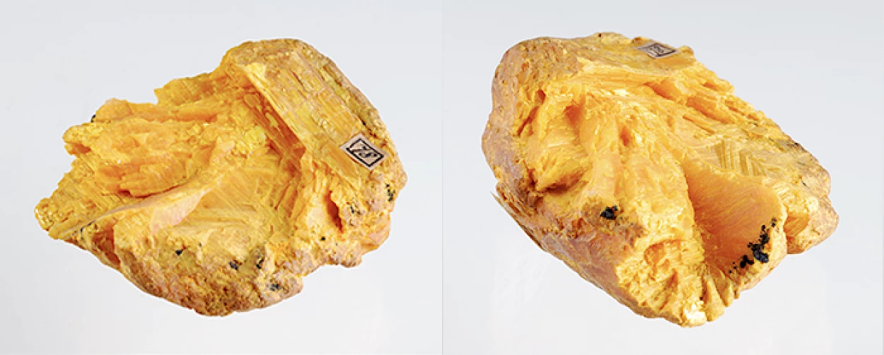 Fig. 1 – Amostra de auripigmento da coleção de Mineralogia adquirida a casa Krantz. Museu da Ciência da Universidade de Coimbra, MIN.SLF.000021.