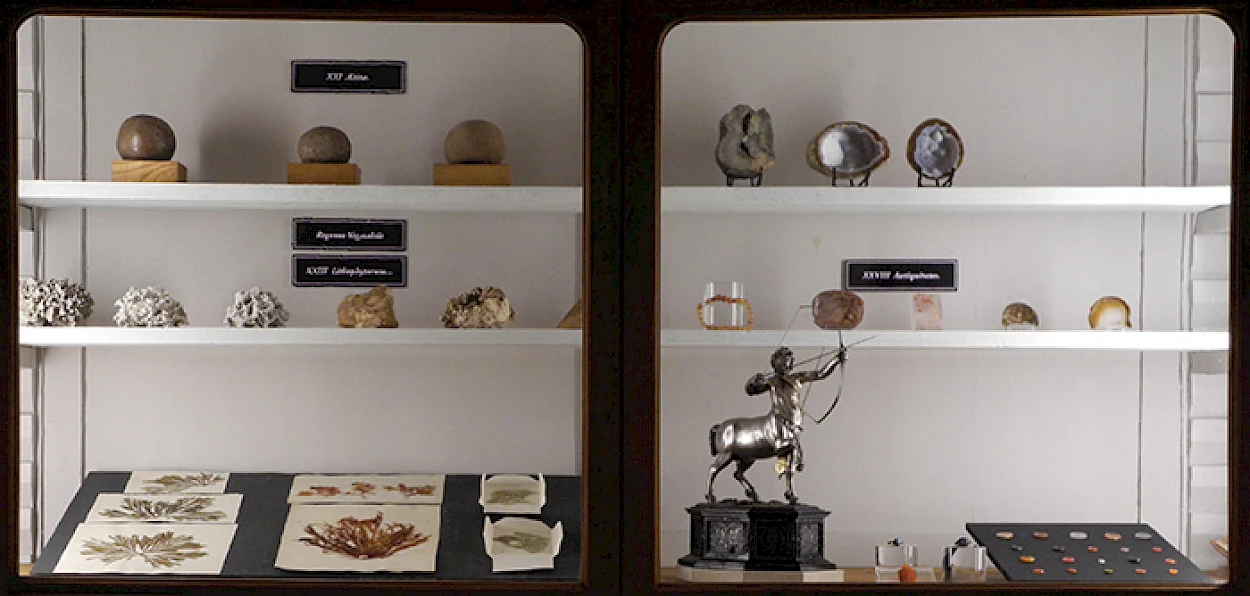 Fig.1 -  Gabinete de Curiosidades de Domingos Vandelli, Museu da Ciência da UC