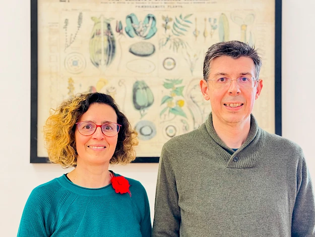Sílvia Castro e João Loureiro são docentes e investigadores no Centro de Ecologia Funcional do Departamento de Ciências da Vida da FCTUC