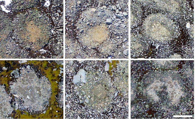 Exemplos de círculos de pedras na Antártida