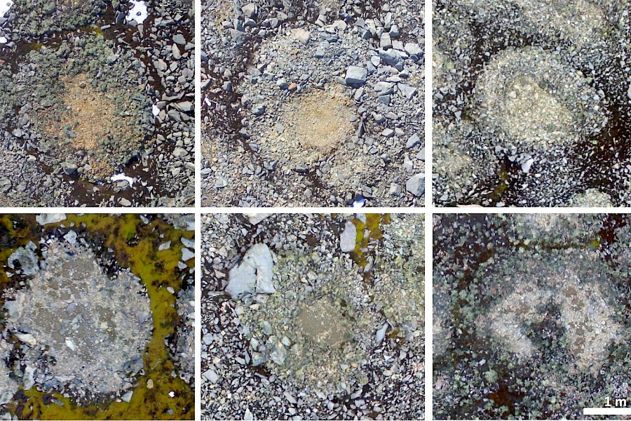 Exemplos de círculos de pedras na Antártida